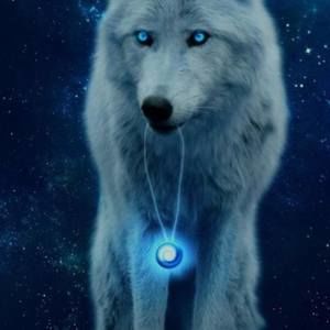 Meet your Posher, Lawrence